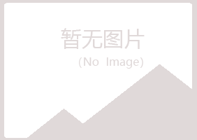 铁山区紫山咨询有限公司